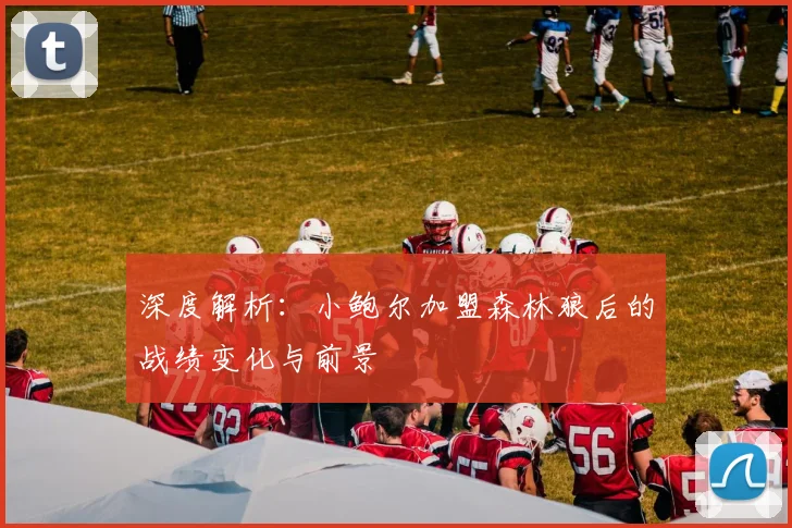 深度解析：小鲍尔加盟森林狼后的战绩变化与前景
