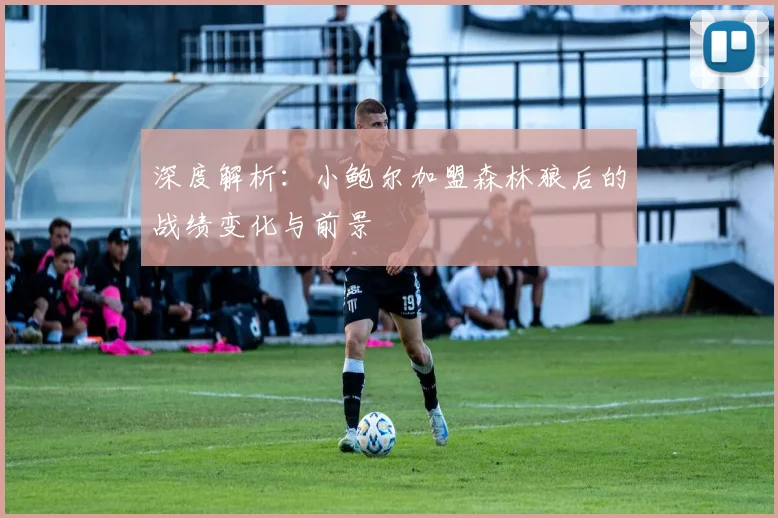 深度解析:小鲍尔加盟森林狼后的战绩变化与前景